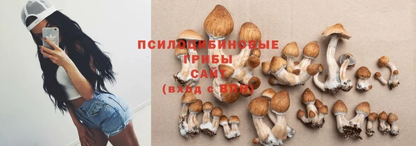 экстази Осташков